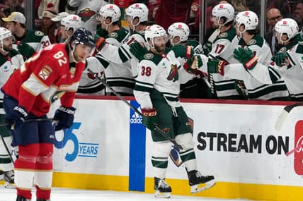 Florida panthers
