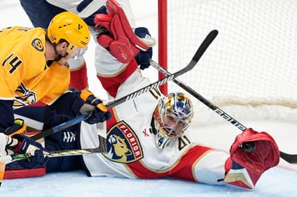 Panthers nashville