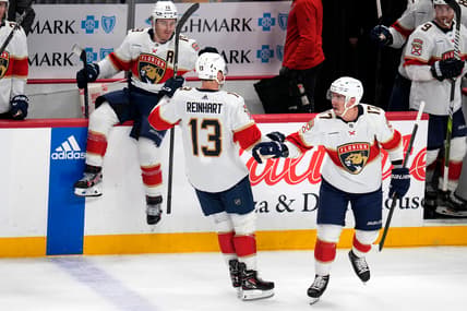 Florida panthers