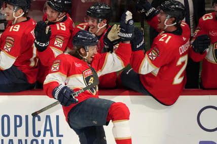 Florida panthers