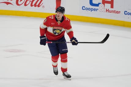 Florida panthers