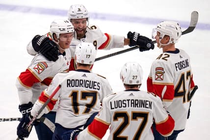 Florida panthers