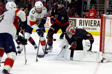 Florida panthers