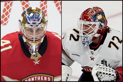 Panthers goalies