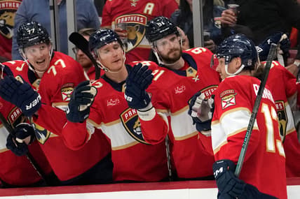 Florida panthers