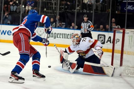 Florida panthers