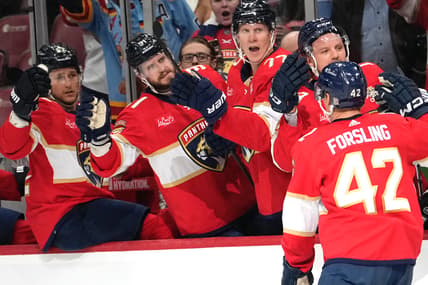 Forsling panthers