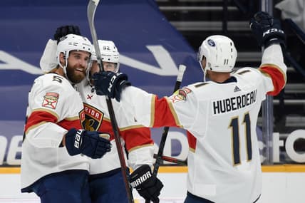 Ekblad panthers