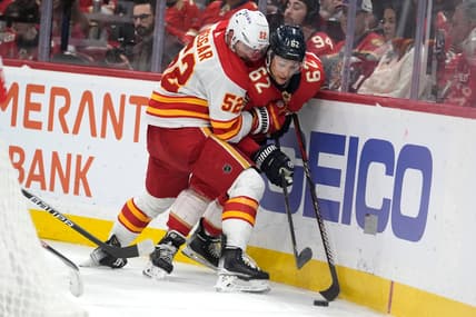 Florida panthers