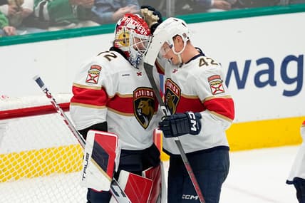 Florida panthers