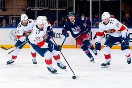 Florida panthers