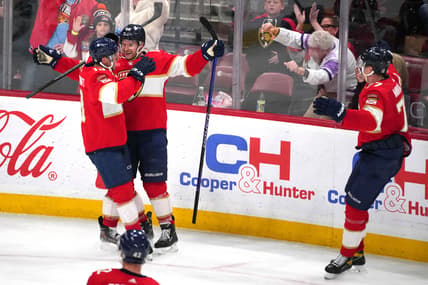 Panthers barkov