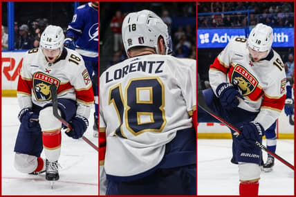 Florida panthers