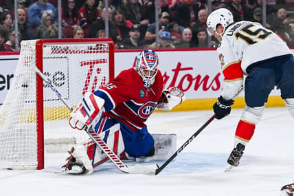 Florida panthers