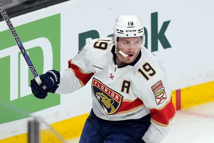 Florida panthers