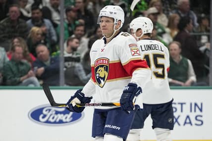 Florida panthers
