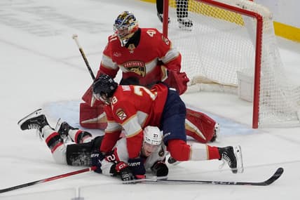 Florida panthers