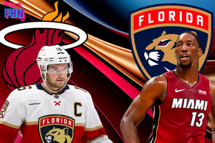 Heat panthers