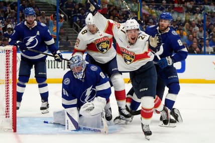 Florida panthers