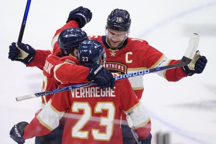 Barkov