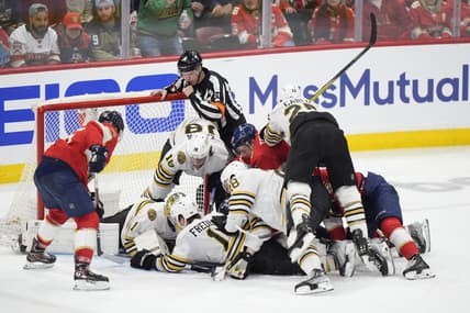 Panthers bruins