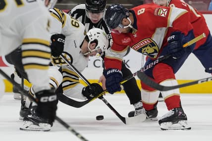 Florida panthers