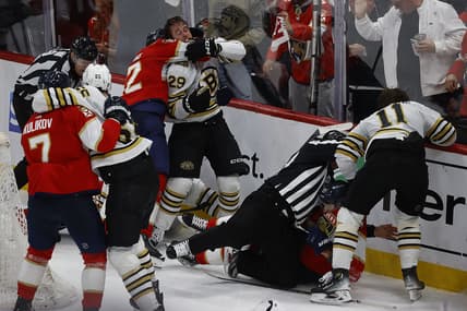 Panthers bruins
