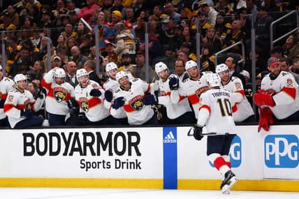 Panthers bruins