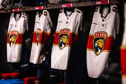 Panthers bruins