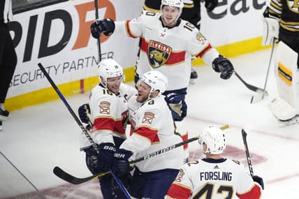 Panthers bruins
