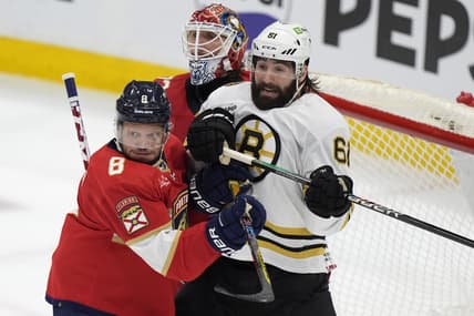 Panthers bruins