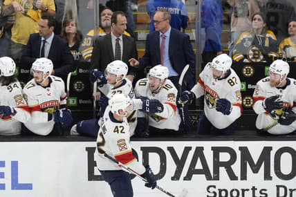Florida panthers