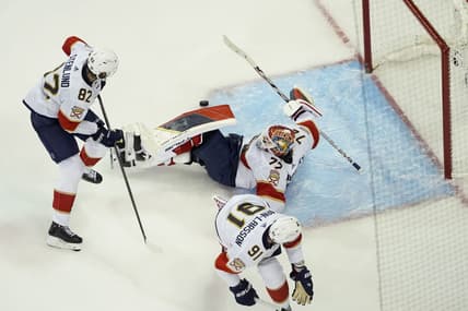 Florida panthers