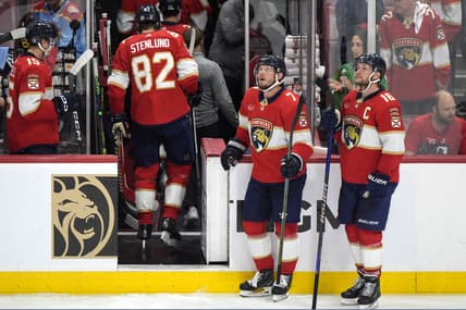 Florida panthers