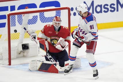 Florida panthers