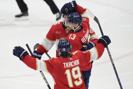 Florida panthers