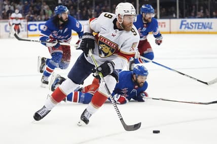 Florida panthers