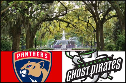 Florida panthers