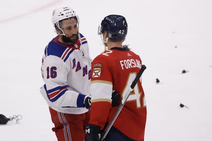 Florida panthers