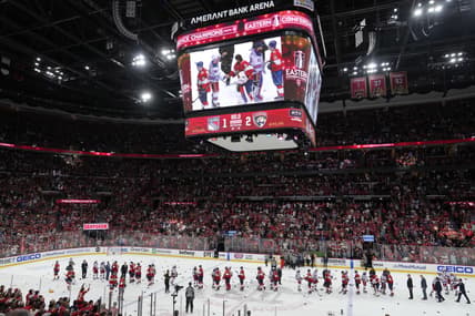 Florida panthers