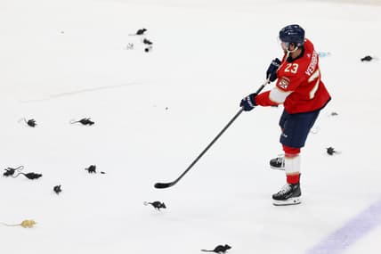 Florida panthers