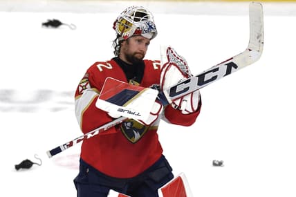 Bobrovsky