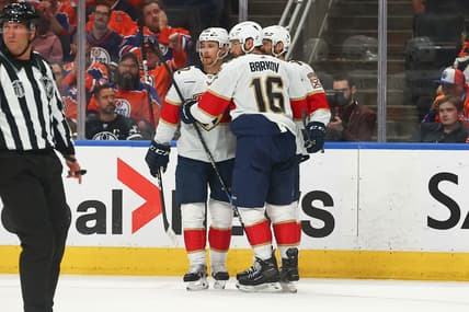 Florida panthers
