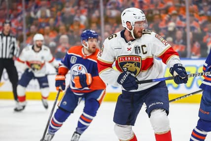 Florida panthers