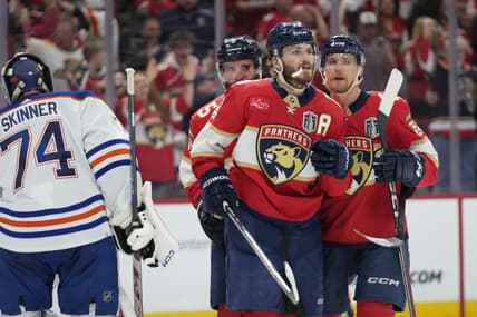 Florida panthers
