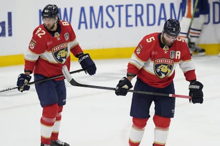 Florida panthers
