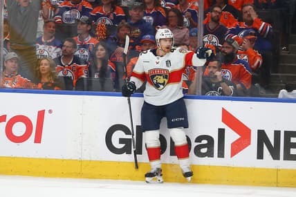 Florida panthers