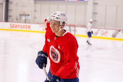 Florida panthers