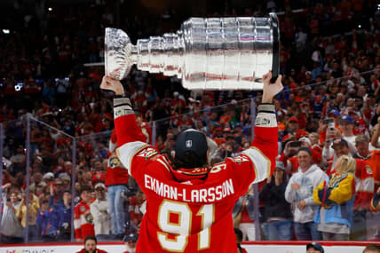 Florida panthers
