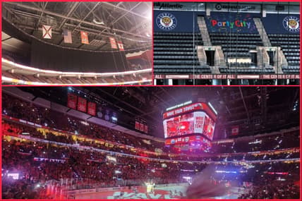Florida panthers